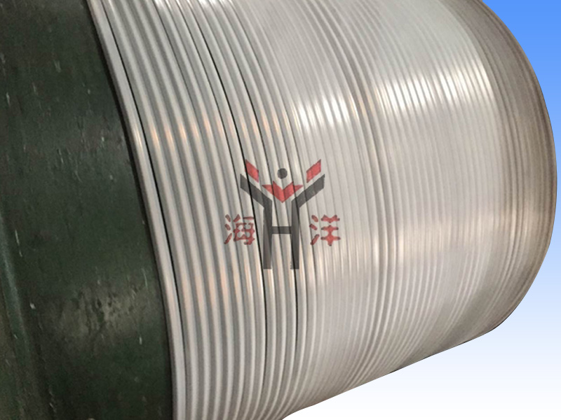 Stainless steel encapsulated tubing